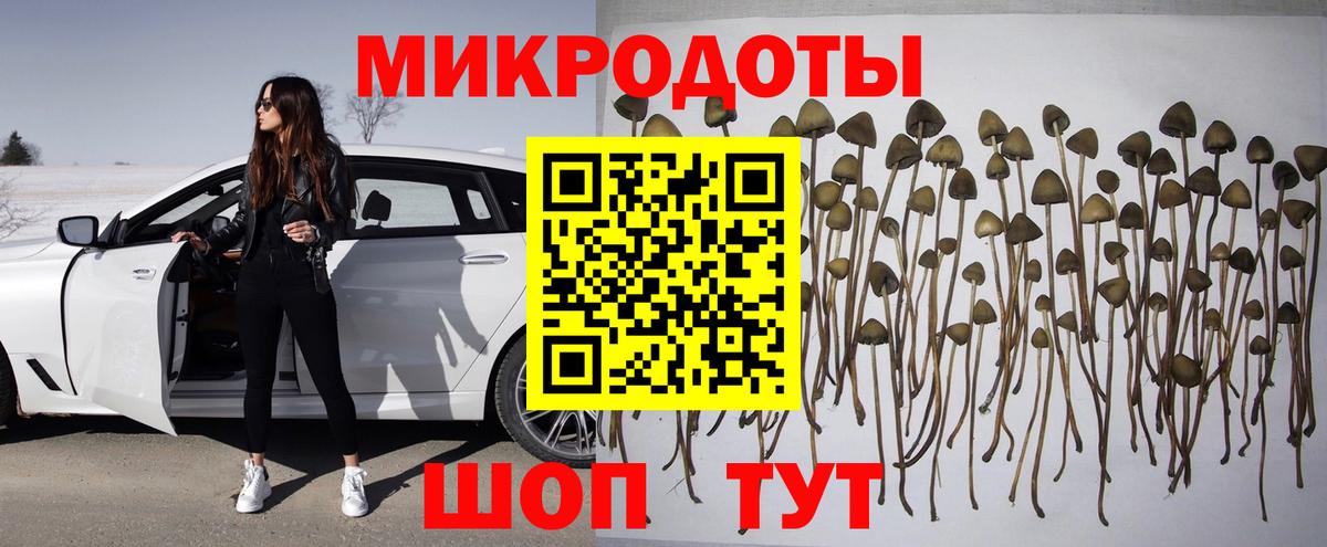 Галлюциногенные грибы Psilocybe  Вход с VPN  Галлюциногенные грибы мухоморы  Чусовой 
